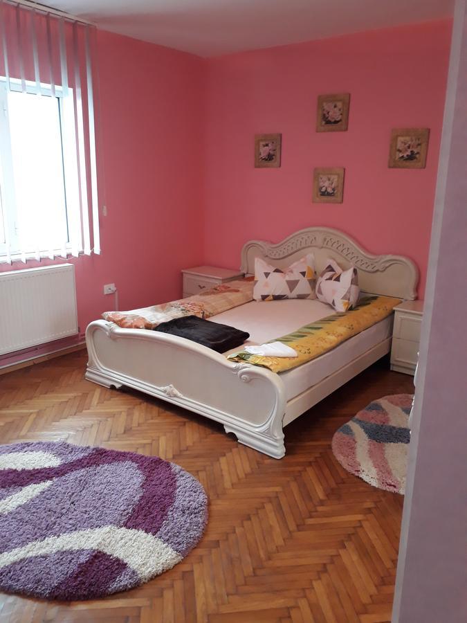 Apartamento Casa Ade Călimăneşti Exterior foto